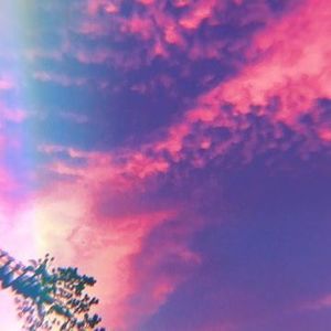 Meet your Posher, Tracey